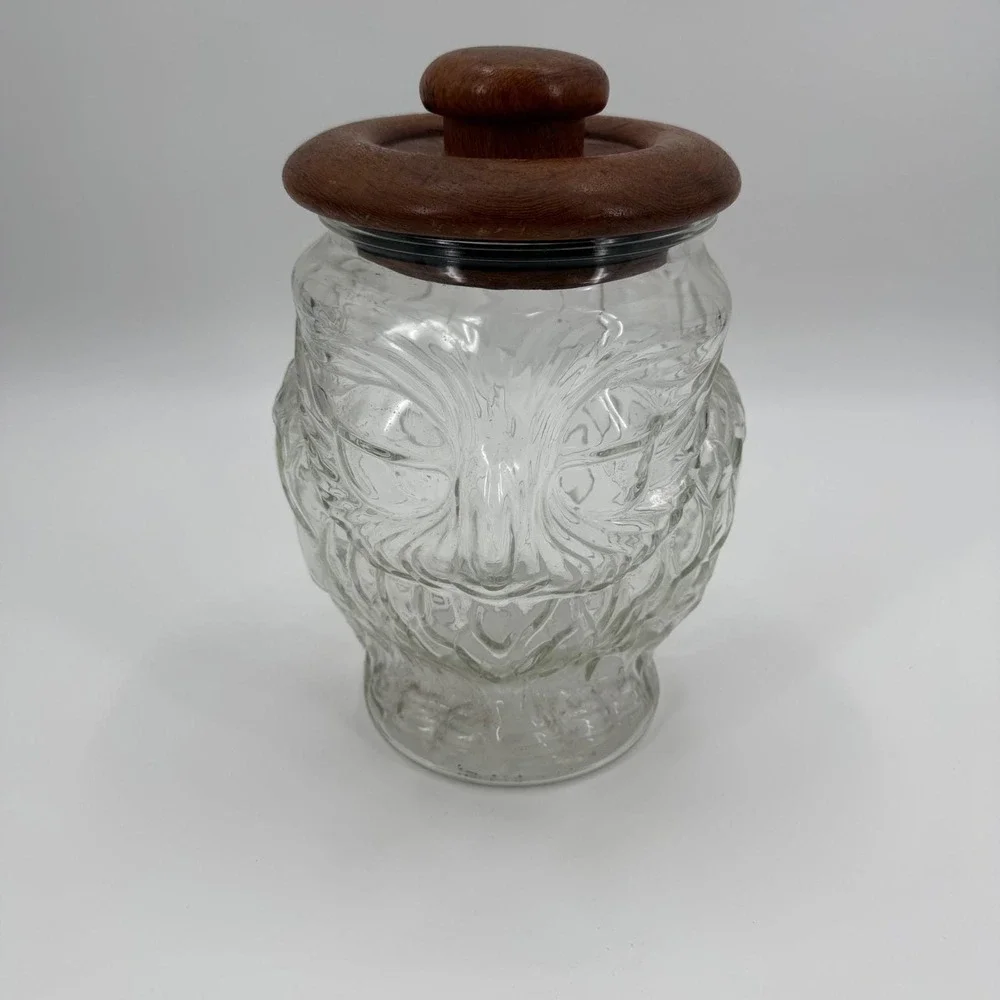 Vintage 70s Whimsical Glass Owl Kitchen Canister Storage Cookie Jar Teakwood Lid